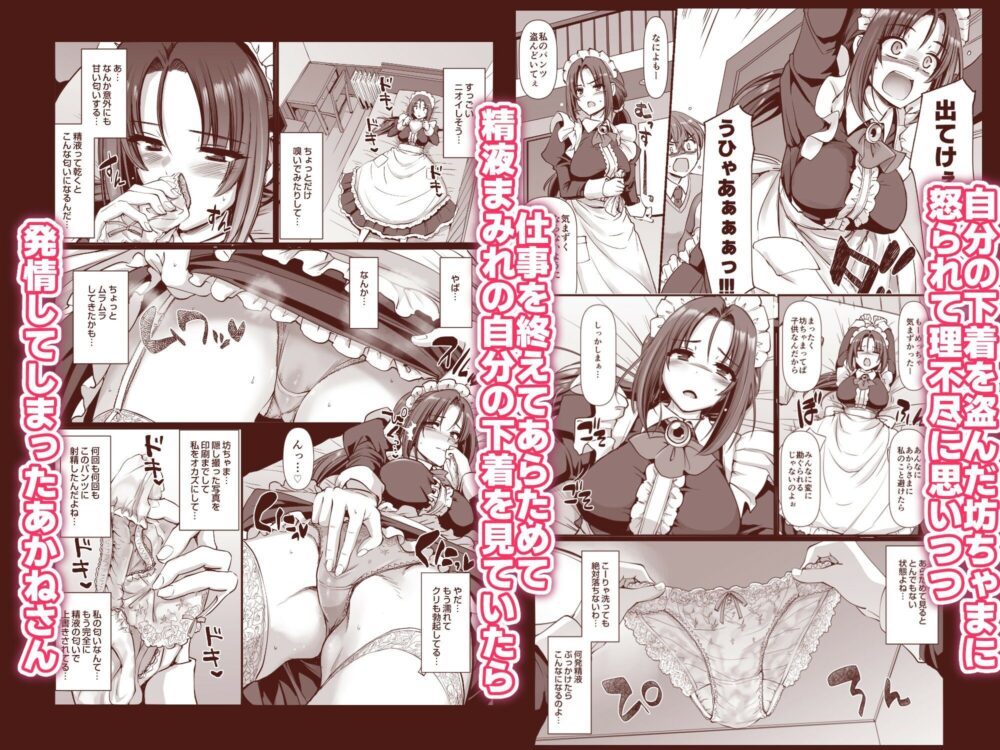 ポンコツ独身メイドあかねさん（28） 画像3